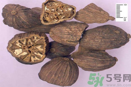 草果是什么？草果的功效與作用