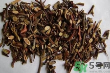 皂角刺的藥用價(jià)值是什么？皂角刺的功效與作用有哪些？
