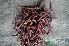 皂角刺的藥用價(jià)值是什么？皂角刺的功效與作用有哪些？