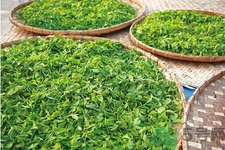 普洱茶怎么保存？茶葉能放冰箱嗎？