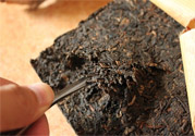 普洱茶怎么保存？茶葉能放冰箱嗎？