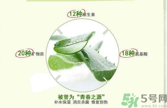 the saem得鮮和自然樂園哪個好？得鮮的蘆薈膠和自然樂園哪個好？