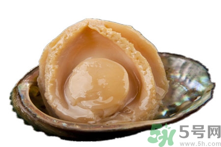 鮑魚如何挑選？鮑魚怎么保存？
