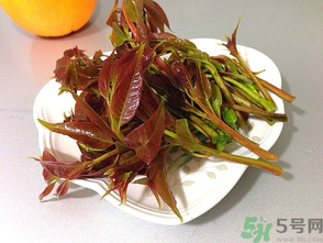 孕婦可以吃香椿嗎？孕婦吃香椿的好處及注意事項