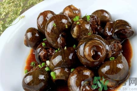 田螺肉怎樣做？田螺的營養(yǎng)價(jià)值有哪些？