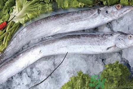 帶魚怎么洗？帶魚如何處理？