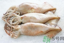 魷魚怎么處理？干魷魚怎么泡發(fā)？