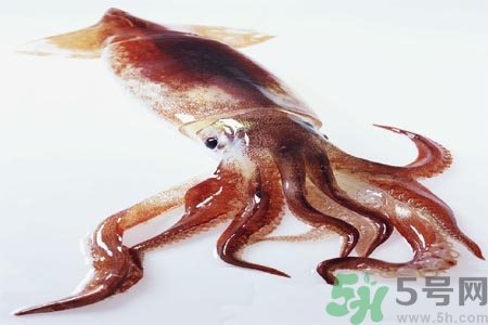魷魚怎么處理？干魷魚怎么泡發(fā)？