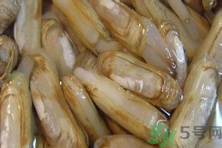 蟶子怎么洗？新鮮蟶子怎么挑選？