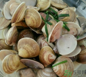 孕婦可以吃文蛤嗎？文蛤的功效與作用