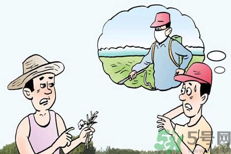 如何去除蔬菜上農(nóng)藥殘留？清洗農(nóng)藥小竅門有哪些？