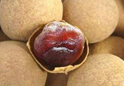 干桂圓吃多了會(huì)上火嗎？吃干桂圓上火怎么辦？