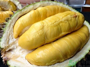金枕頭榴蓮和普通榴蓮有什么區(qū)別？金枕頭榴蓮怎么挑？