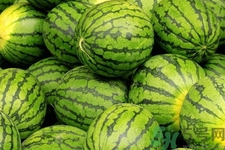 西瓜牛奶可以一起吃嗎？西瓜牛奶怎么做好吃？