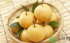娃娃梨是怎么種出來的？娃娃梨為什么外形像娃娃？