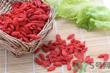 枸杞子泡酒怎么泡？枸杞酒的制作方法是什么？
