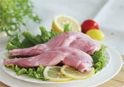兔肉不能和什么一起吃？什么人不能吃兔肉？
