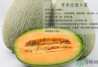 西州蜜瓜怎么吃？西州蜜瓜的食用方法