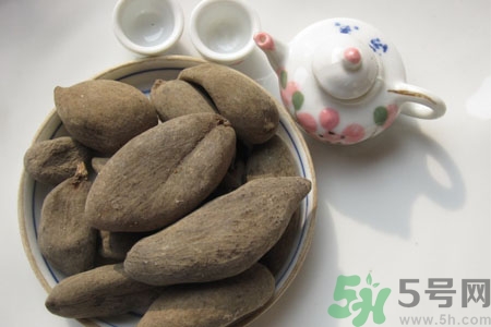 五倍子能治早泄嗎？五倍子的副作用有哪些？