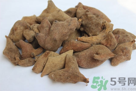 五倍子能治早泄嗎？五倍子的副作用有哪些？