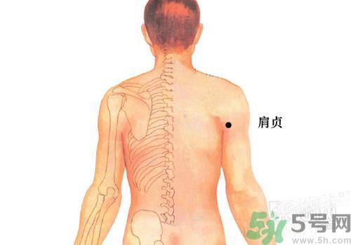 肩周炎艾灸有用嗎？肩周炎艾灸哪些部位？