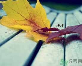 秋分是什么意思？秋分是幾月幾日