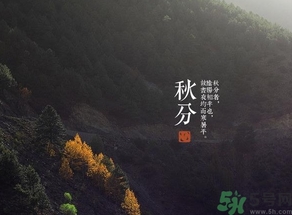 秋分吃什么？秋分吃什么水果？