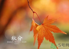 秋分吃什么？秋分吃什么水果？