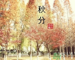 秋分吃什么？秋分吃什么水果？