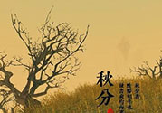 秋分吃什么？秋分吃什么水果？