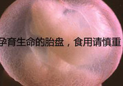 寶寶胎盤怎么處理比較好？?寶寶胎盤的功效與作用