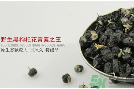 如何鑒別真假黑枸杞？黑枸杞價格多少？
