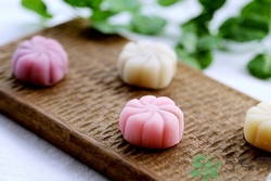 冰皮月餅和普通月餅?zāi)膫€好吃?