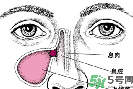 鼻子不通氣是怎么回事？鼻子不通氣怎么辦？
