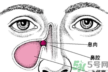 鼻子不通氣吃什么藥？鼻子不通氣的九個(gè)小妙招