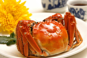 螃蟹什么季節(jié)最好吃？螃蟹幾月份吃最好？
