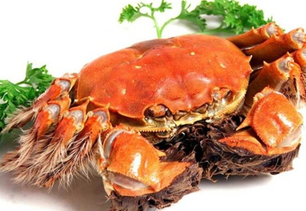 螃蟹什么季節(jié)最好吃？螃蟹幾月份吃最好？