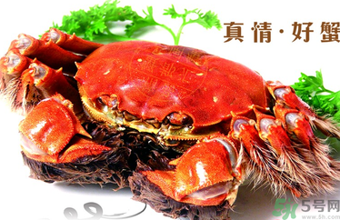 螃蟹什么時候吃最好？吃螃蟹的最佳時間 