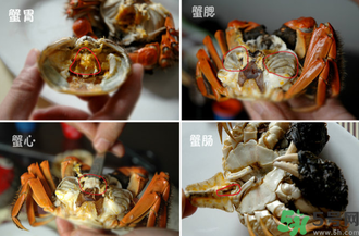 陽澄湖大閘蟹怎么吃？食陽澄湖大閘蟹注意事項