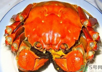 大閘蟹什么季節(jié)吃最好？吃大閘蟹的季節(jié)