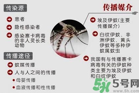 寨卡病毒會死人嗎？寨卡病毒會死嗎？