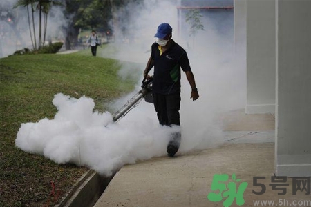 寨卡病毒會死人嗎？寨卡病毒會死嗎？