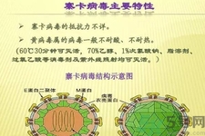 寨卡病毒對孕婦有危害嗎？寨卡病毒對孕婦的危害有哪些？