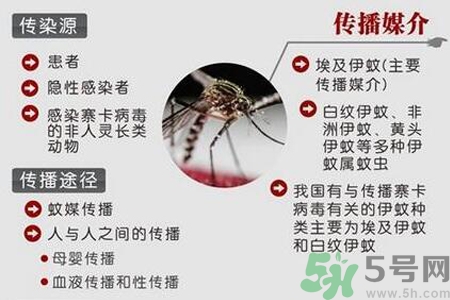 寨卡病毒對孕婦有危害嗎？寨卡病毒對孕婦的危害有哪些？