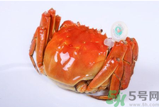 陽澄湖大閘蟹怎么做好吃？陽澄湖大閘蟹的做法
