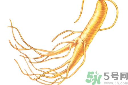 人參怎么吃效果最好？人參的做法大全
