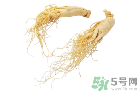 人參怎么吃效果最好？人參的做法大全