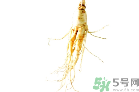 人參怎么吃效果最好？人參的做法大全