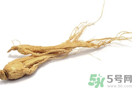 人參怎么吃效果最好？人參的做法大全