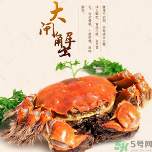 梁子湖大閘蟹什么時(shí)候上市？梁子湖大閘蟹上市時(shí)間